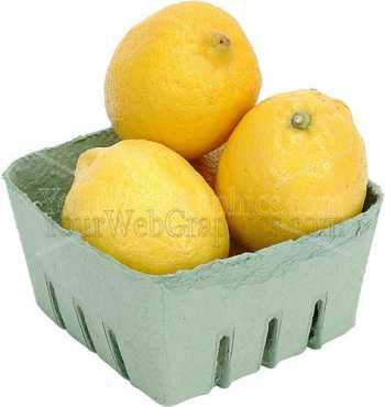 photo - lemons-2-jpg